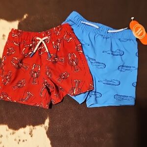 Boy Swim Trunks